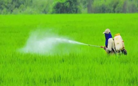 Remove GST on agriculture inputs: Farmers to FM Nirmala Sitharaman