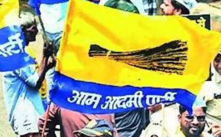 AAP accuses BJP of settling Rohingyas in Delhi; 'baseless rhetoric', says saffron party