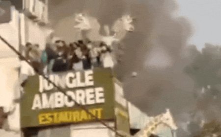 Watch: People jump off restaurant roof to escape fire in Delhi's Rajouri Garden