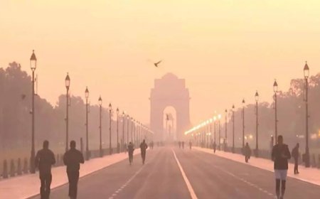 Air pollution crackdown: Delhi govt collected over Rs 260 crore in fines from over 2,60,000 vehicles