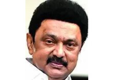 Tamil Nadu resolution asks Centre to cancel Hind Zinc mining rights