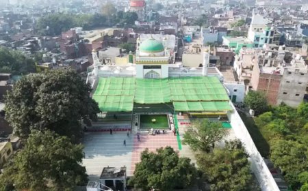 Sambhal mosque surveyor cites health issues, seeks 15-day extension