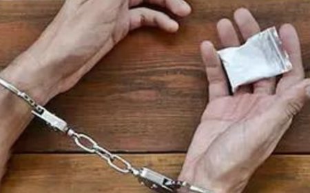 Delay in deciding mercy plea violates convict's rights: Supreme Court