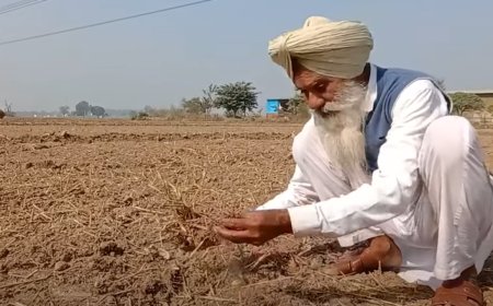 Watch:'Why I didn't set my farm on fire this year'