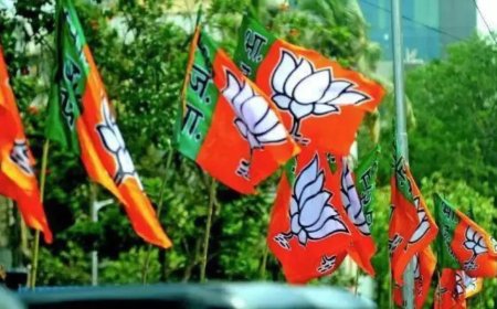 French outlet slams BJP, says its report used for political gain
