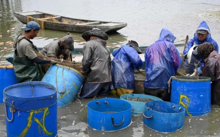 At WTO, India cites fishing subsidy gap, seeks relook