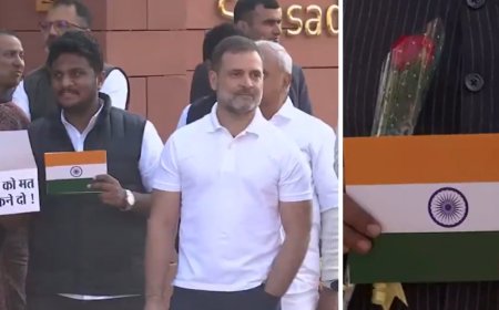 Watch: Rahul Gandhi runs to Rajnath Singh with Tiranga during Congress protest on Adani