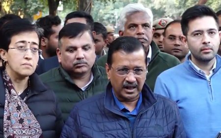 'Presented 3,000 pages of evidence': Kejriwal-led AAP delegation meets EC over 'mass voter deletion' conspiracy