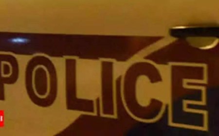 2 cattle smugglers killed in road accident, not encounter: Samba police