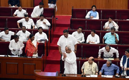 What happens if there's a hung House, asks BJD