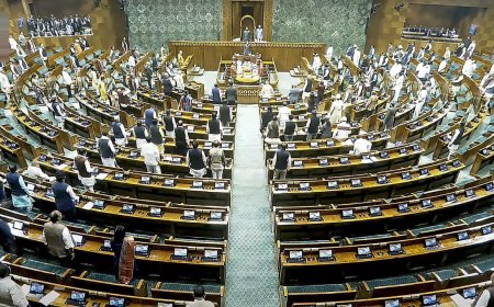 Priyanka's debut, Rajnath's critique, Akhilesh's attack: Lok Sabha debates Constitution; Top quotes