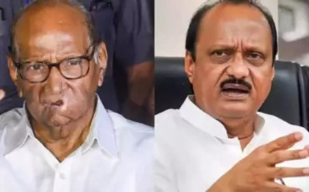 After poll fight, patch up talks: NCP (SP) MLA Rohit Pawar's mother bats for Sharad-Ajit unity