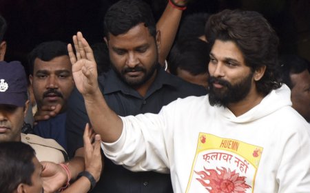 Stampede case: Allu Arjun to spend night in Hyderabad central jail, officials cite curbs on releasing prisoner at night