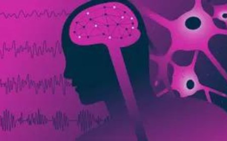 Neuro-robot offers help in epilepsy treatment