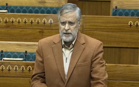 'Congress apologised for Emergency but you are silent on your things': NC MP attacks BJP