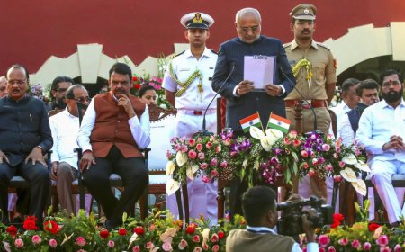 In Fadnavis cabinet expansion, mix of old and new, 19 berths for BJP