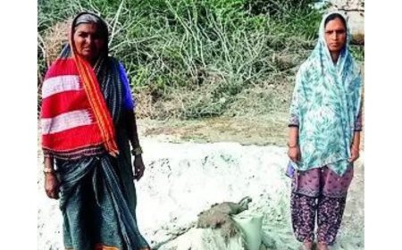 With state dole, 2 women of Karnataka family build well on farm