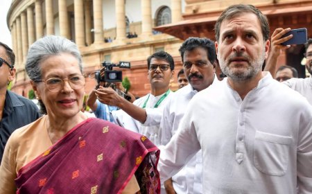 ‘Return Nehru's letters to Edwina Mountbatten': PM Memorial writes to Rahul Gandhi