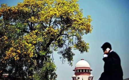 Demolition of Delhi Public Library: Land grabbers must be dealt with iron hand, says SC