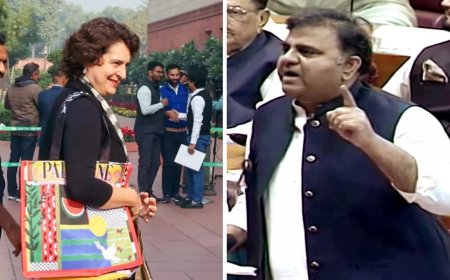 'Stood tall amidst pigmies': Ex-Pakistan minister lauds Priyanka Gandhi for carrying Palestine bag to Parliament