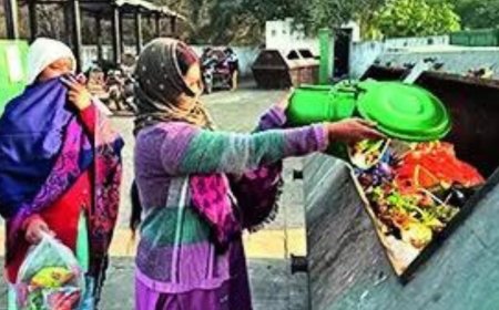 New solid waste management rules: Sanitation workers may refuse to collect unsegregated waste of your households