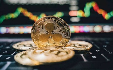 Institutional investors eye Solana and XRP while retail focus shifts to emerging Altcoin Cutoshi