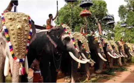 Thrissur Pooram: Two Devaswoms move Supreme Court against Kerala high court's guidelines for elephant parade