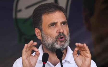 'When govt prioritises crony businesses': Rahul Gandhi as trade deficit, imports hit record high