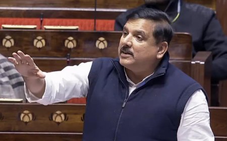 Defamation suit against Sanjay Singh bid to keep him away from Delhi poll campaign: AAP