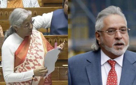 'Entitled to relief': Vijay Mallya reacts to FM Nirmala Sitharaman's statement on Rs 14,131 crore debt recovery
