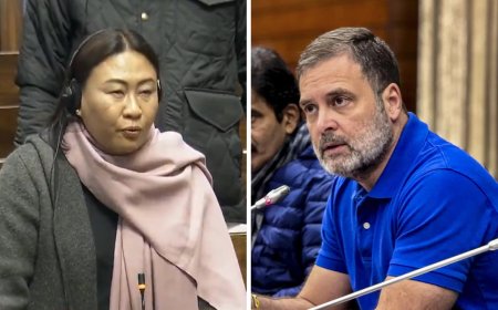'Dignity deeply hurt by Rahul': BJP woman MP Phangnon Konyak writes letter to RS chairman