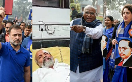Protests, scuffles and FIRs: How row over Amit Shah's Ambedkar remark took a violent turn in Parliament