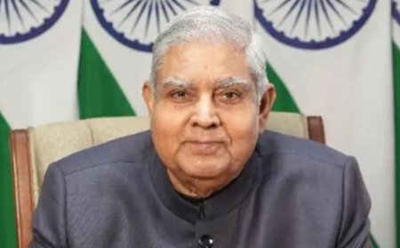 'Flawed, bid to mar image': Vice President's removal notice junked
