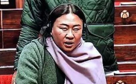 Parliament scuffle: Nagaland MP alleges Rahul made her uncomfortable; blatant lie, says Congress