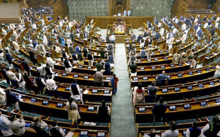 Protest, disruptions and chaos: How productive was Parliament Winter Session