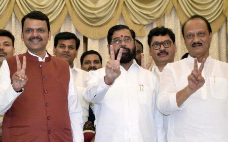 Maharashtra portfolio allocation: CM Fadnavis keeps home ministry, Ajit Pawar gets finance, Shinde gets urban development