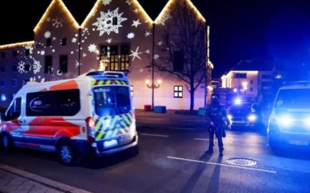 7 Indians among those injured in Christmas market car attack in Germany