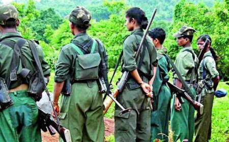 From 18,000sq km, Maoist-affected area down to 8,500sq km in 10 years