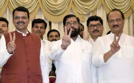Maharashtra portfolio allocation: Devendra Fadnavis keeps home, Ajit finance, Shinde urban development, gets housing