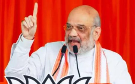 ‘Duty towards nation’: Amit Shah urges banks to frame special rules for NE