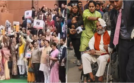 'No lapse on our part': CISF on MPs scuffle in Parliament