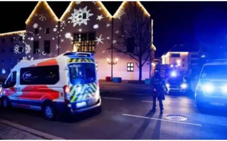 7 Indians injured in Germany Christmas market attack; embassy says in 'close contact'
