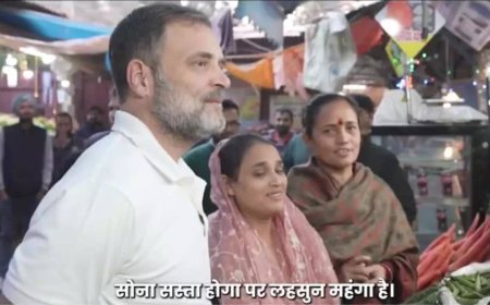 'Gold must be cheaper than garlic': Rahul Gandhi visits Delhi vegetable market, says middle-class budget compromised