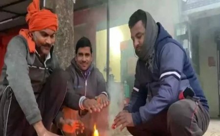 As mercury plummets, North India battles severe cold