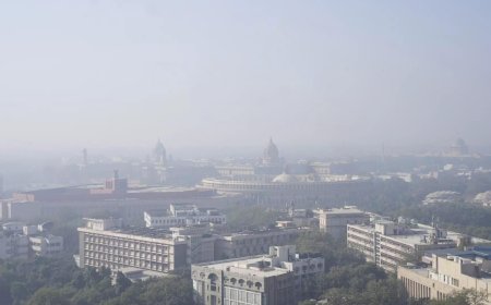 Central panel withdraws GRAP IV restrictions in Delhi-NCR after dip in air pollution levels