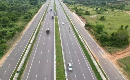 NHAI announces pilot project to set up stray cattle shelters along NHs to prevent accidents