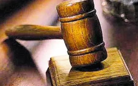 Get Supreme Court, division bench nod for fresh probe: HC to RG Kar victim's kin