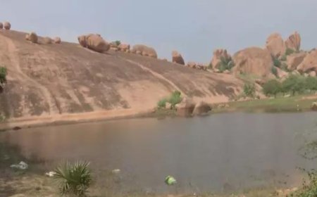 Re-examine tungsten block in Tamil Nadu, GSI told after protest