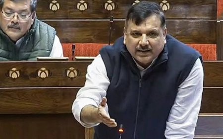 'Bharatiya Jhootha Party': AAP's Sanjay Singh accuses BJP of spreading lies amid schemes row