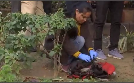 Man sets himself on fire near Parliament in Delhi; rushed to hospital